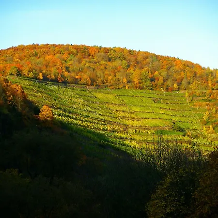 Hotel Hotel-restaurant Ruland Altenahr