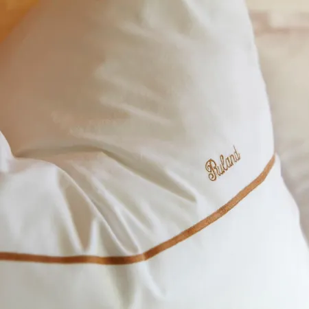 Hotel-restaurant Ruland 4* אלטנהר