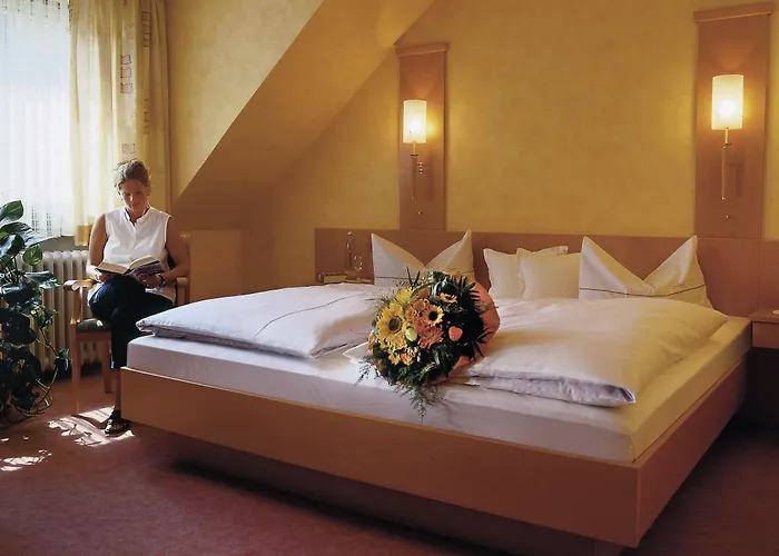 Hotel Hotel-restaurant Ruland