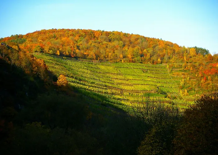 Hotel Hotel-restaurant Ruland Altenahr