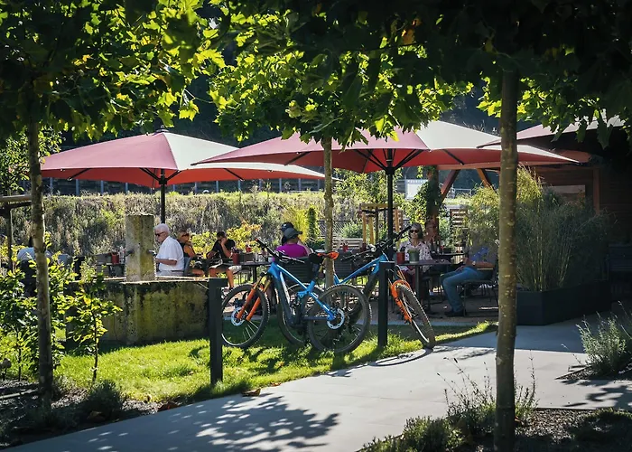 Hotel Hotel-restaurant Ruland Altenahr