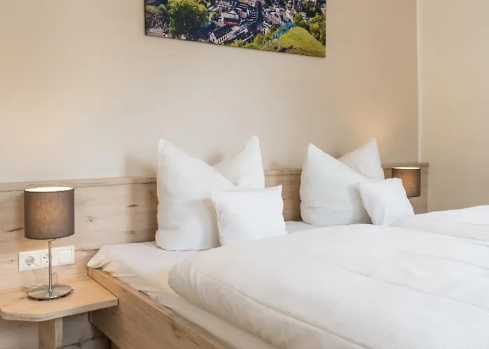 Hotel-restaurant Ruland 4*